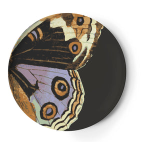 Metamorphosis Dinner Plates (Set of 4)