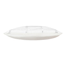 Load image into Gallery viewer, Oslo White SIlver Velvet Pillow
