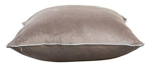 Noah Beige/Silver Pillow